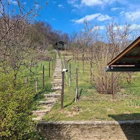 Panoramic House In Vakantiehuis