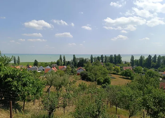 Panoramic House In *